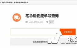 如何查找宅急送单号（宅急送怎样查询订单）
