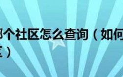 如何查看属于什么街道（怎么查询属于什么街道社区）