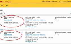 dhl海关如何查验（dhl 海关查验）