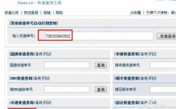 中通快递如何看数字编号（中通快递编号在哪里看的）