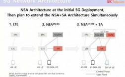 sal如何查询（查询sa nsa）