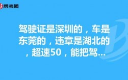 深圳驾照如何办回重庆（深圳的驾照怎么转移到湖南来）