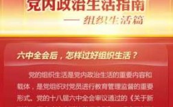 邮政如何过好党内生活材料（怎么过好党内政治生活）