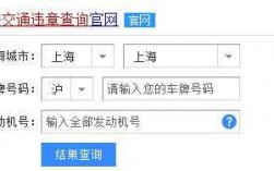 运输公司如何查询（运输公司怎么查违章）