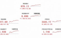 511800如何购买（如何购买588080）