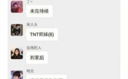 如何把tnt导入文本（如何把tnt导入文本库）