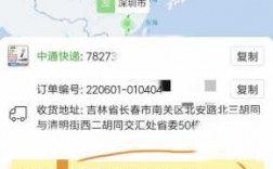 中通如何跟踪物流公司（中通快递怎么跟踪路线）