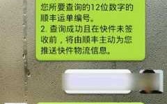 顺丰如何查码寄快递（顺丰如何查码寄快递信息）