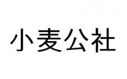 如何查我在小麦公社订单（小麦公社是什么快递）