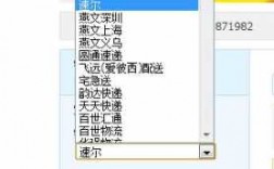 件如何打速尔快递单（速尔快递下单流程）