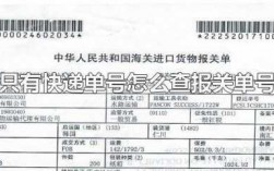 如何查快遞的报关单（怎么知道快递的报关单号）