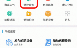 如何查询海运动态（海运查询船舶动态app）