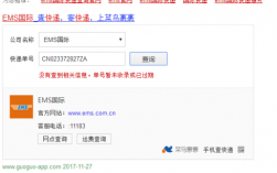 如何查国际海运邮件（国际ems海运查询）