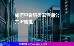 服务器或公司名如何查看（怎么查公司服务器上的资料）