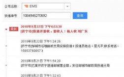 经济快递如何查（ems经济快递怎么下单）