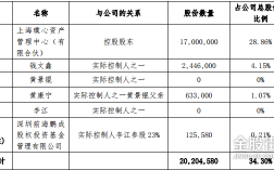 如何查询公司股份比例（怎么看公司股份占比）