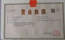 如何查公司的经营范围（如何查公司的经营范围有哪些）