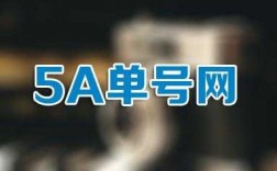 5a单号网如何注册（5a单号网登陆入口）