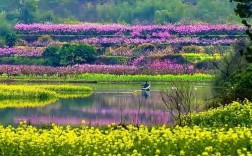 古冶桃花坞如何入驻（唐山古冶桃花坞）