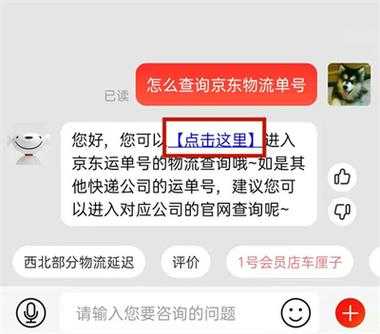 京东订单号如何查物流单号（怎样查京东订单号物流信息）-图3