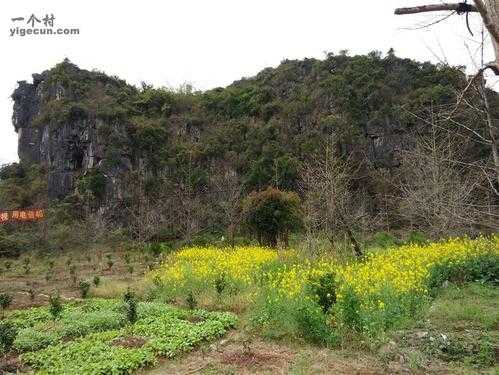 灵川县如何去灵田村（灵川县灵田镇最新公路规划）-图1