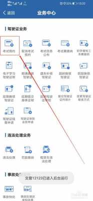 车辆如分如何查见（怎样查询车辆分数）-图3