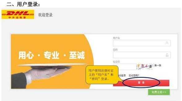 如何开通dhl账户（如何开通dhl账户）-图1