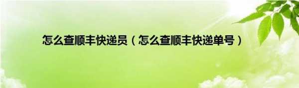 顺丰如何查询快递员信息（顺丰怎么查快递员的电话）-图3