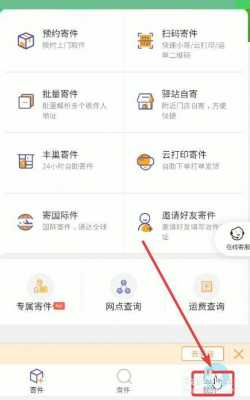 快递如何用手机号查询余额（快递如何用手机号查询余额信息）-图2