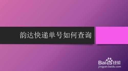 如何查韵达物流单（怎么查韵达的物流）-图2