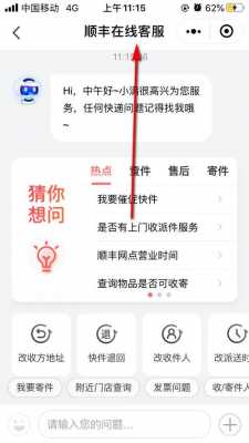 顺丰快递如何服务电话（顺丰快递如何服务电话客服）-图2