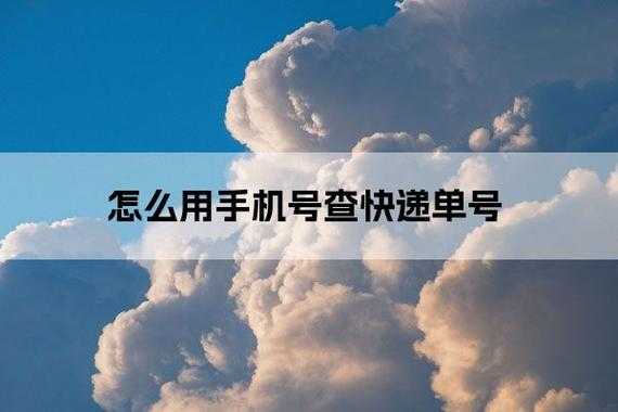 如何用手机号查快递单（如何用手机号查快递单号）-图3