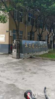 崇州安阜乡发展如何（崇州市羊马镇安阜小区）-图1