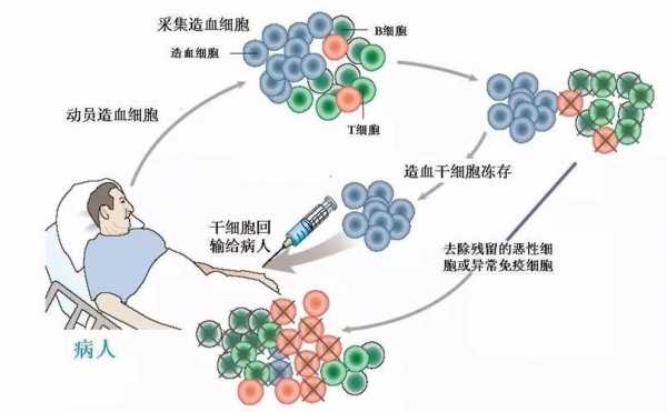 细胞如何快递寄送（细胞怎么运送）-图2