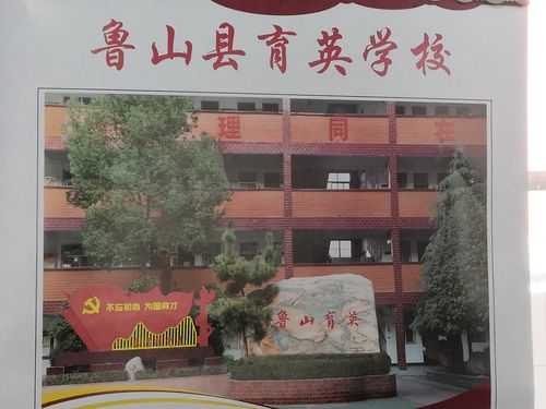 鲁山育英学校如何（鲁山育英学校贴吧）-图3