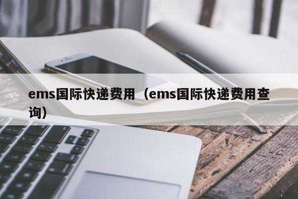 EMS国际快递如何缴税（ems国际快递怎么缴税）-图3