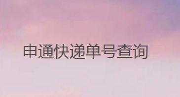 跟踪快递单号查询如何申通（跟踪单号查询物流情况申通快递）-图3