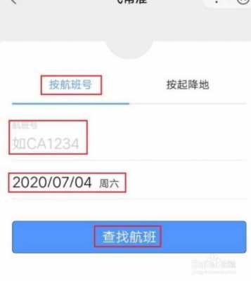 如何查航空挂号（航空挂号件查询）-图3
