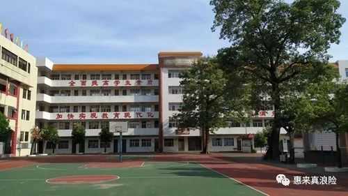 惠来英内小学插班生如何入（惠来英内小学插班生如何入学）-图2