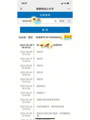 如何查询澳洲快递查询系统（查澳洲直邮的快递怎么查）-图3