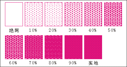 c如何区分网点（网点大小怎么看）-图2