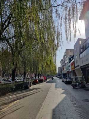 濮阳垂柳街如何走（濮阳垂柳街如何走地铁）-图1