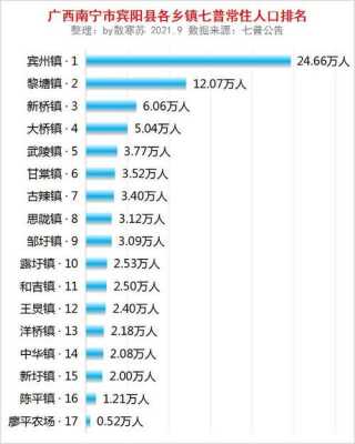 如何查询广西宾阳电话（广西宾阳区号多少）-图2