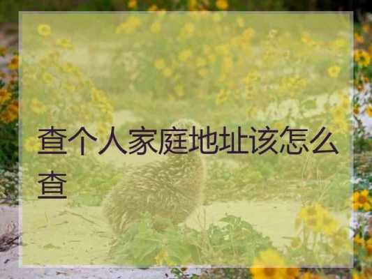 如何查个人地址（如何查个人地址信息查询）-图1