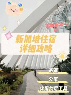 新加坡是如何查住址（新加坡报地址怎么查询）-图1