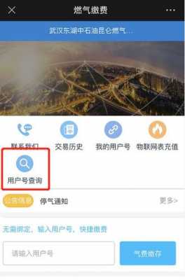 昆仑燃气如何查询（昆仑燃气用气查询）-图2