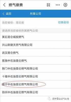 昆仑燃气如何查询（昆仑燃气用气查询）-图1
