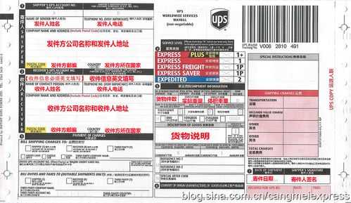 国际快递如何显示中文（国际快递怎么填写国内地址）-图3