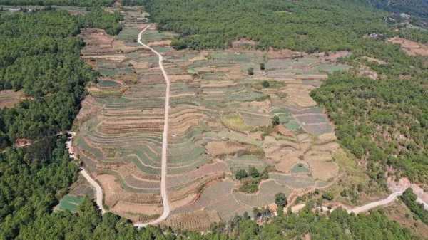 如何到平甸村（平甸公路）-图1