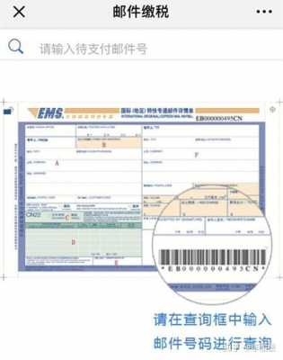 国际快递入关如何缴税（国际快递入关如何缴税呢）-图1